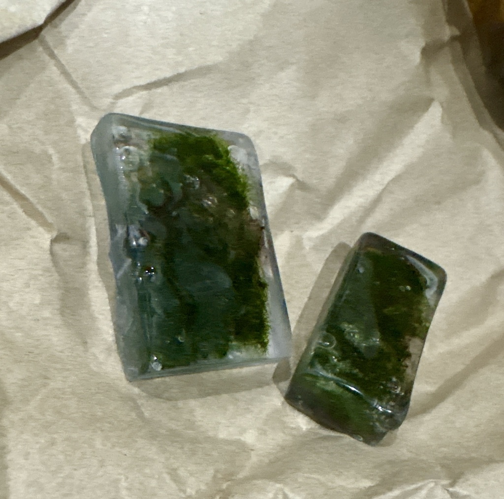 【ランダム】苔テラリウム風マグネット(2個入)