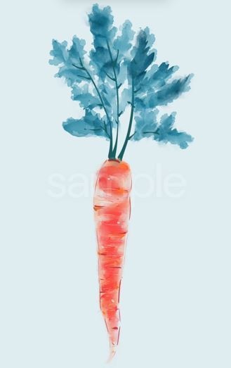 新鮮な野菜 人参 アニメーション　番号: an03