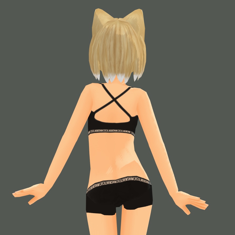【セシル変身用】スポーツインナー