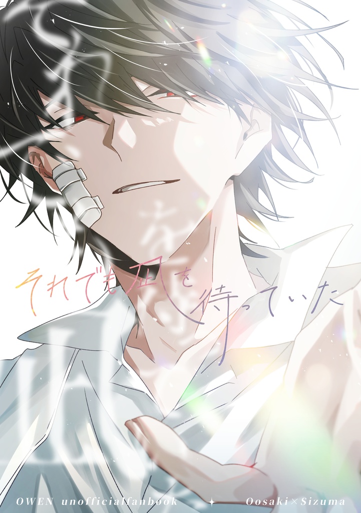 【予約販売】それでも凪を待っていた