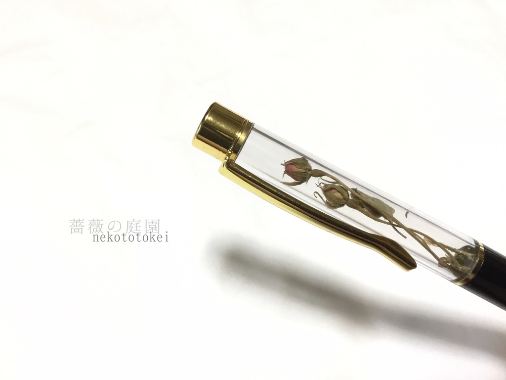 薔薇の庭園 (ボールペン)