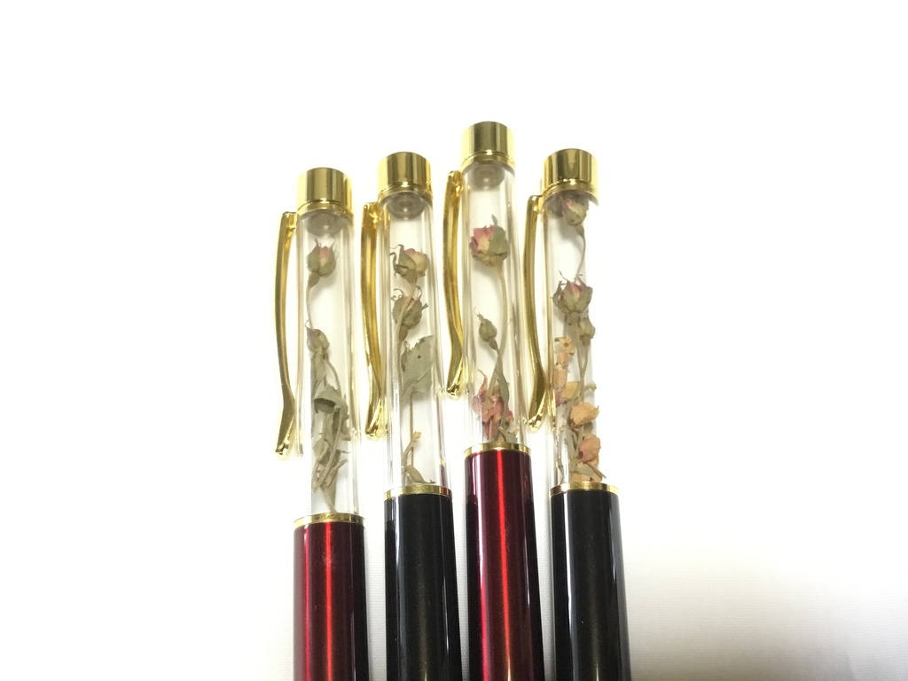 薔薇の庭園 (ボールペン)