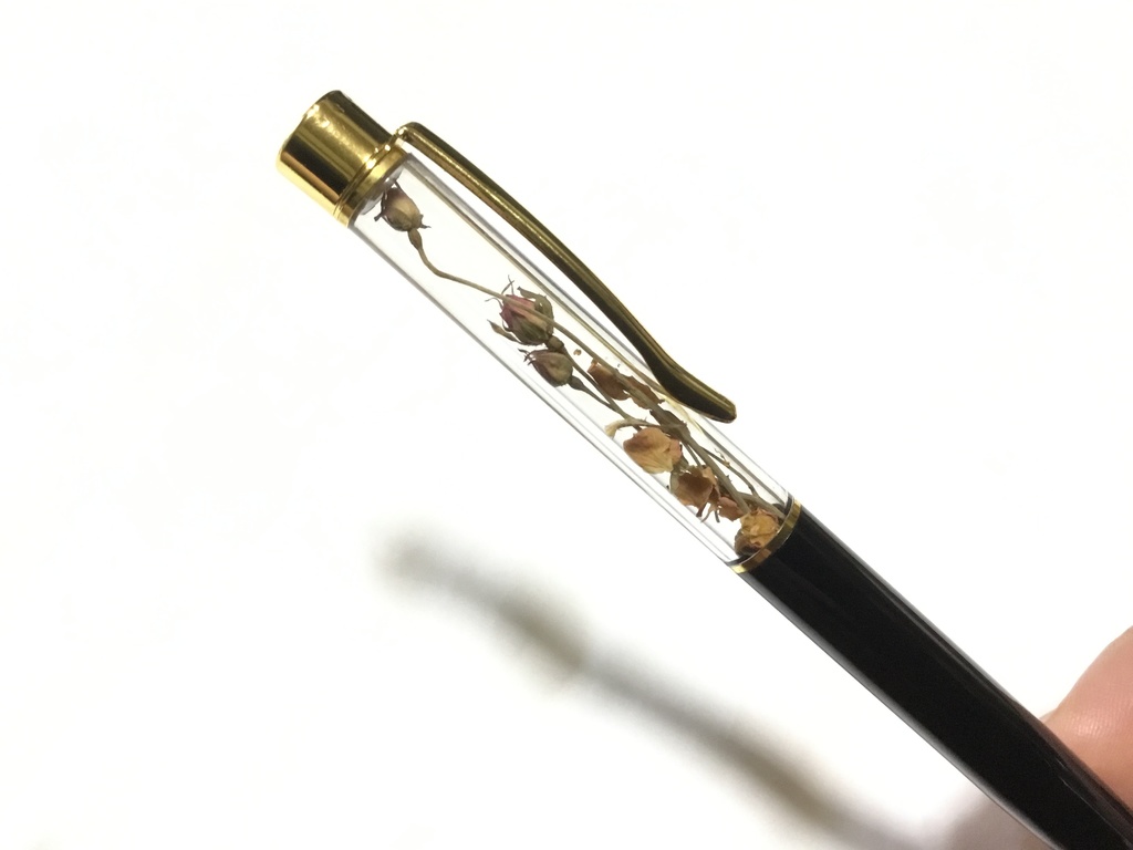 薔薇の庭園 (ボールペン)