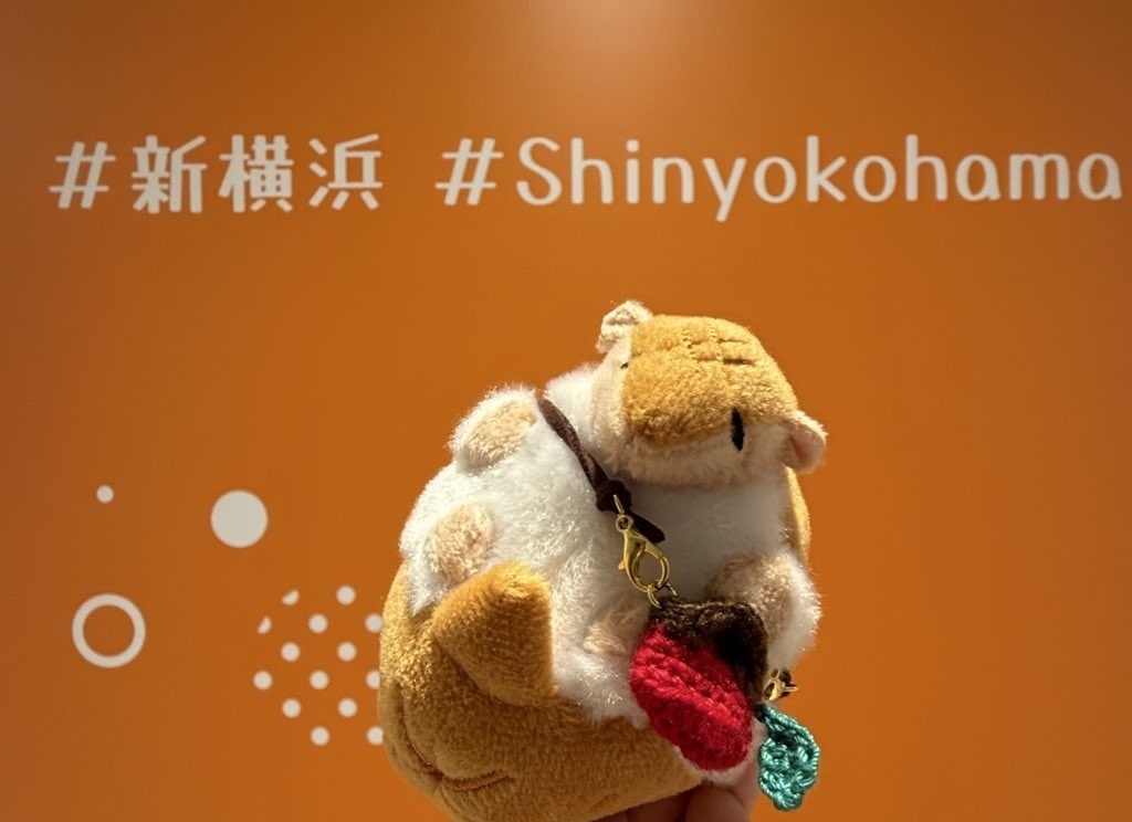 果物ポーチSSサイズ