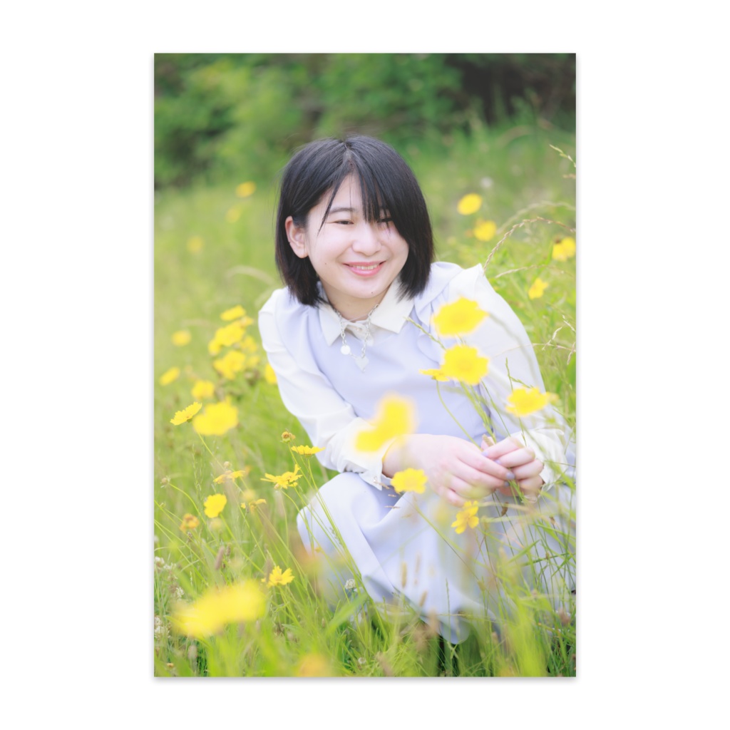 黄色い花　ポストカード