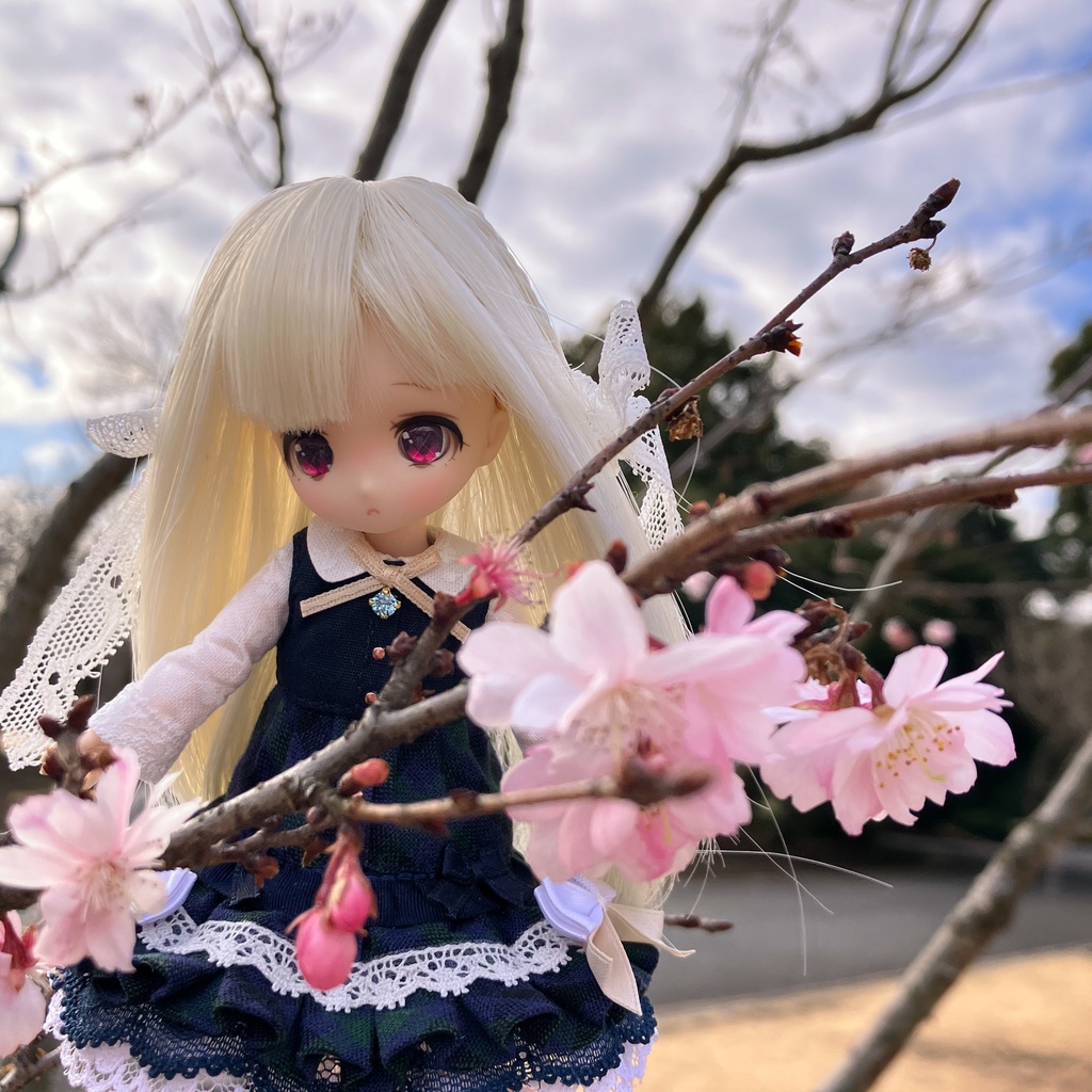 ステラ ワンピース / オビツ11サイズ