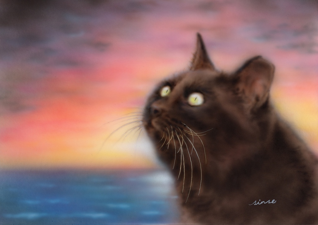 猫アート５