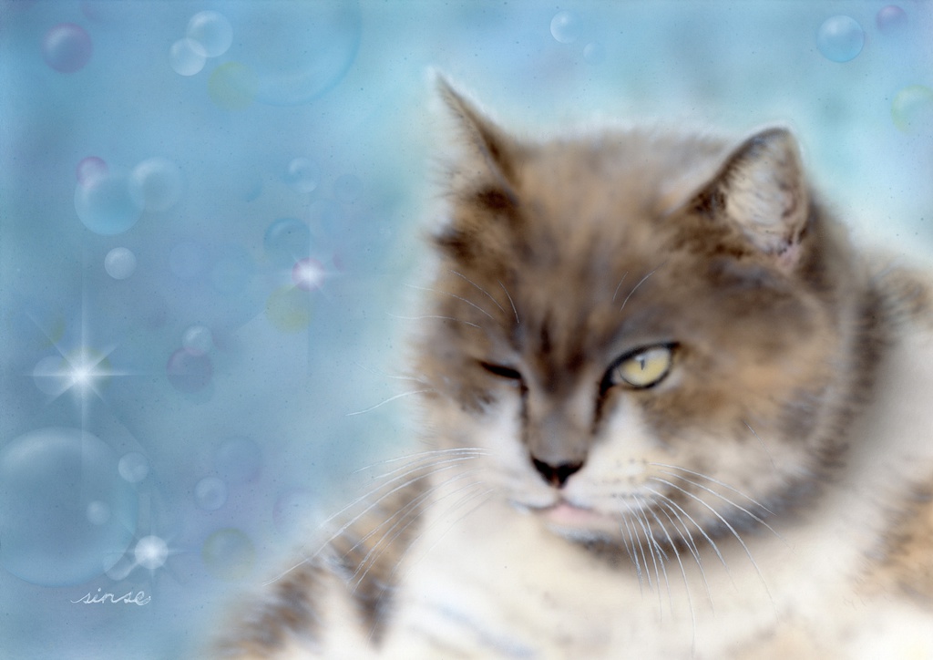 猫アート６