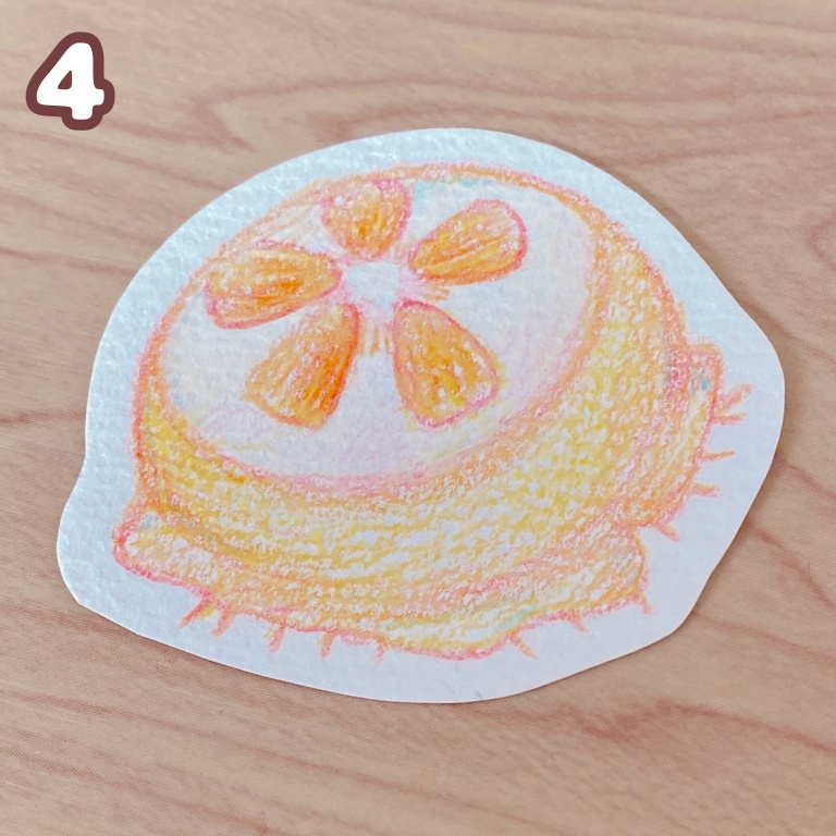 海の生き物×食べ物