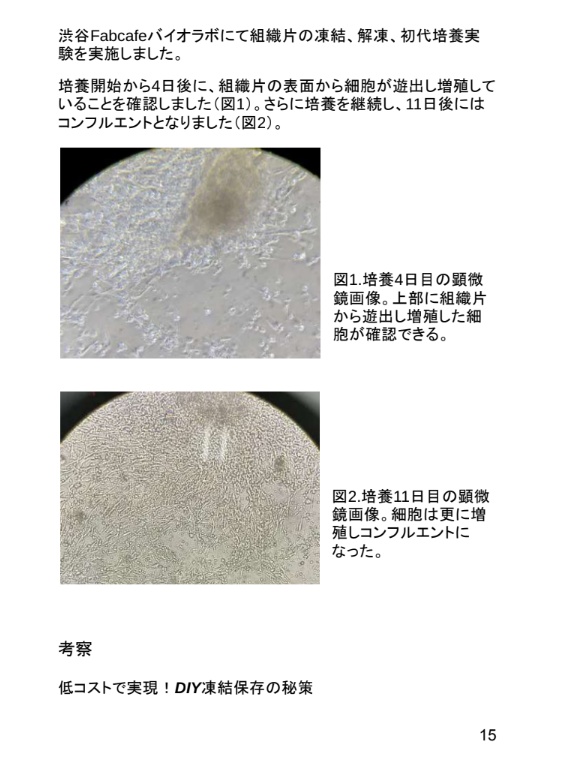 生物製造(なまものづくり)