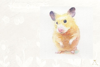 ポストカードC ぱん(ホワイト)