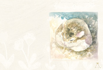 ポストカードD はむキング(ホワイト)