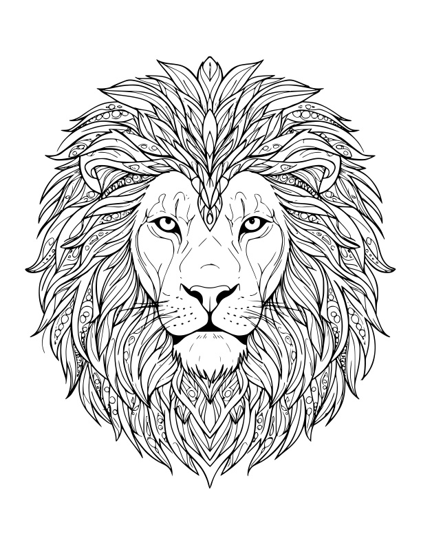 Mandala Coloring for Adults: The Grand Harmony Edition マンダラ・カラーリング・フォー・アダルツ:グランド・ハーモニー・エディション 🩷 Series Volume 1 / シリーズ第1弾 by Anchovies(アンチョビーズ)