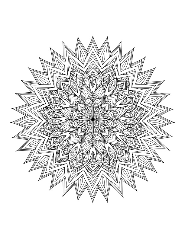 Mandala Coloring for Adults: The Grand Harmony Edition マンダラ・カラーリング・フォー・アダルツ:グランド・ハーモニー・エディション 🩷 Series Volume 1 / シリーズ第1弾 by Anchovies(アンチョビーズ)