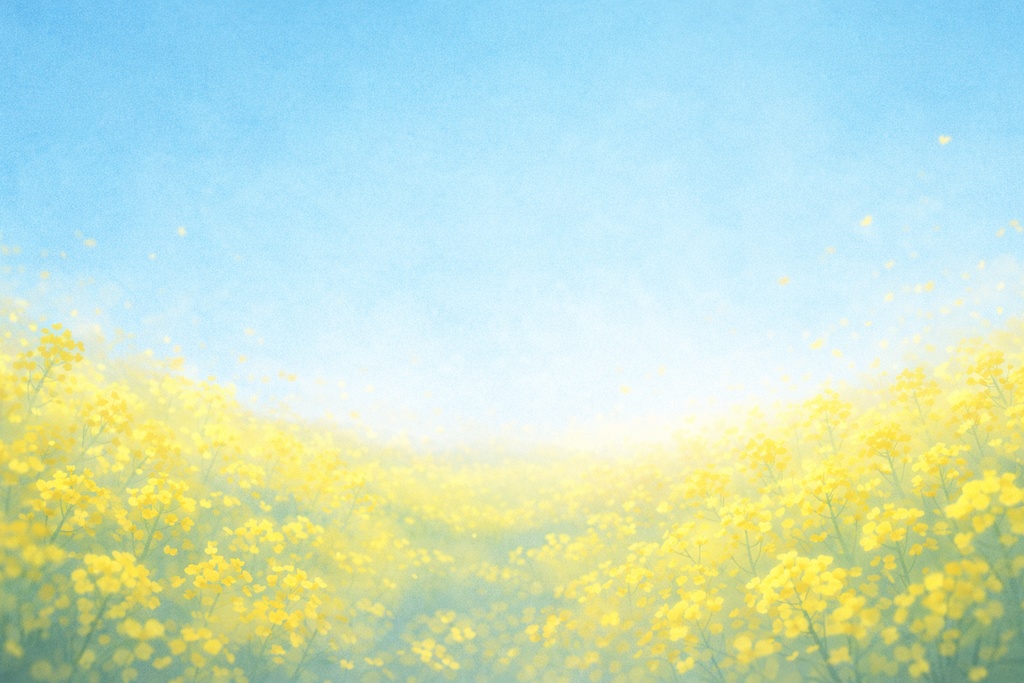 菜の花背景素材（16:9）春の花背景 / Rapeseed Flower Background