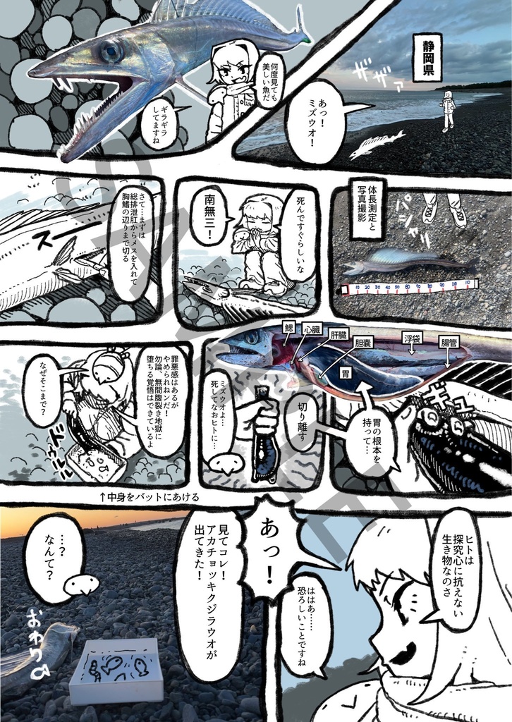 ミズウオ解体新書 2025