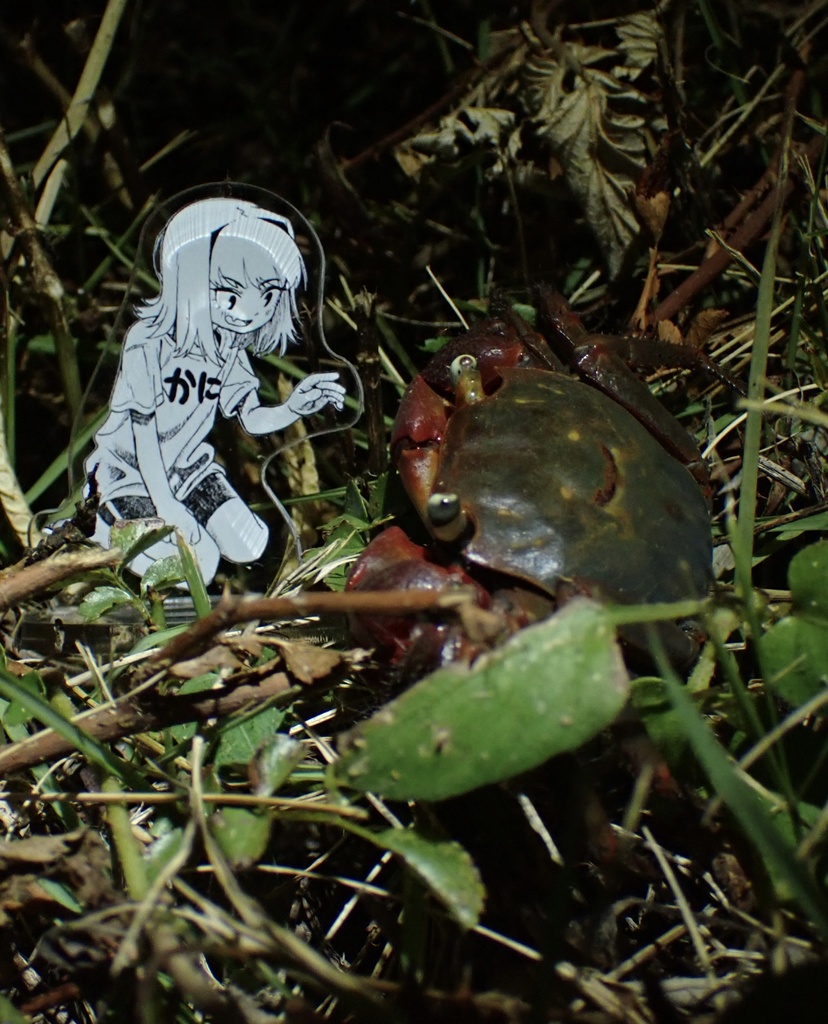 カニTのキリコ　アクリルスタンド