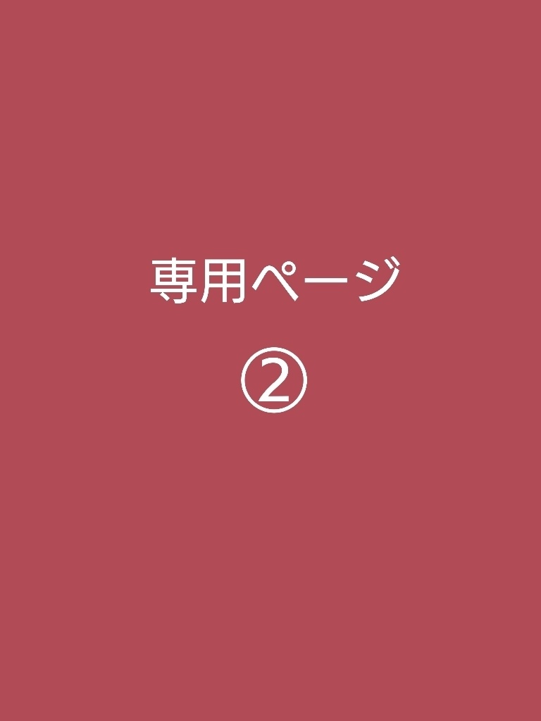 専用ページ②