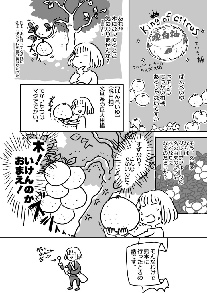 ばんぺいゆの木を見に行った話