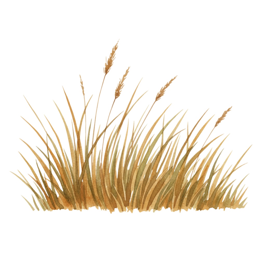 【PNG素材】大人可愛いワイルドアニマルリップアートセット(全15種/水彩スタイル/背景透過)