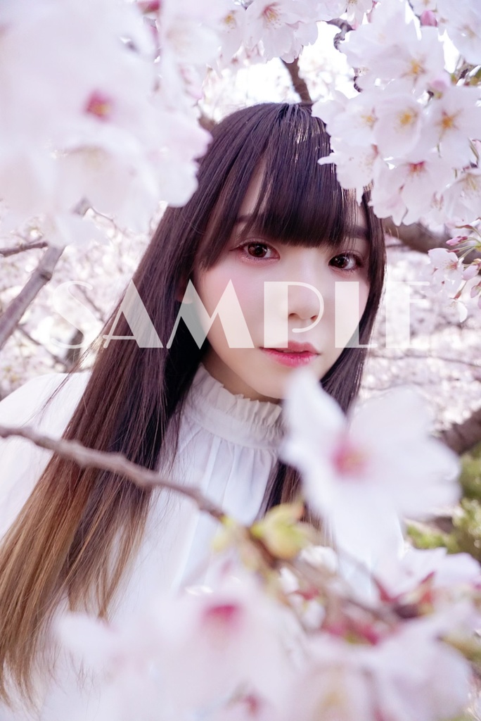 生写真【桜】