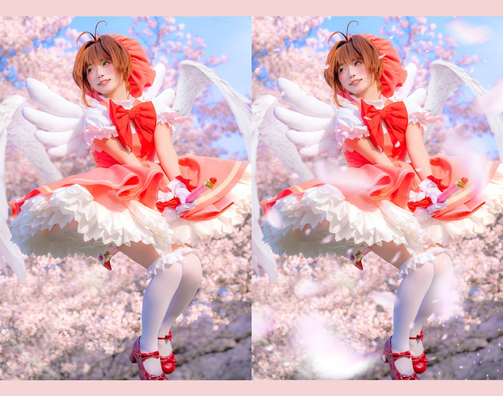 桜吹雪素材 (psd形式/png形式)