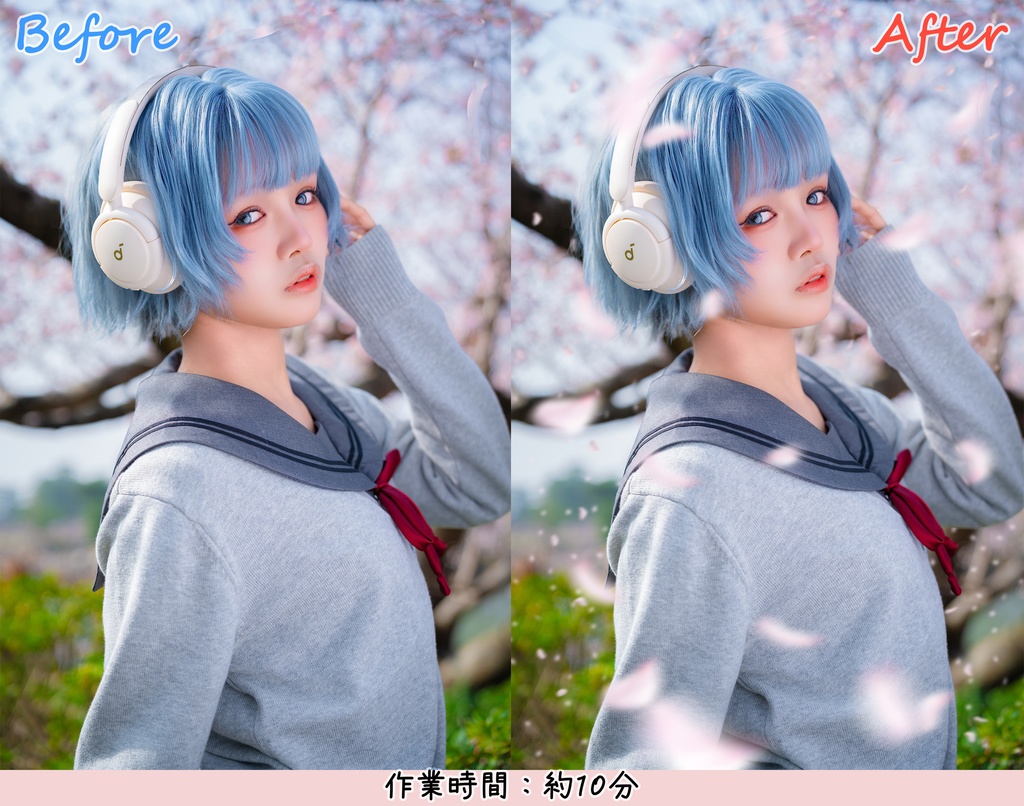 桜吹雪素材 (psd形式/png形式)