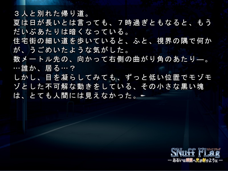 【番外編】SNuff FLag - あるいは睡蓮へ光が射すように - 動作確認版+本編序盤体験版 Ver.2.1