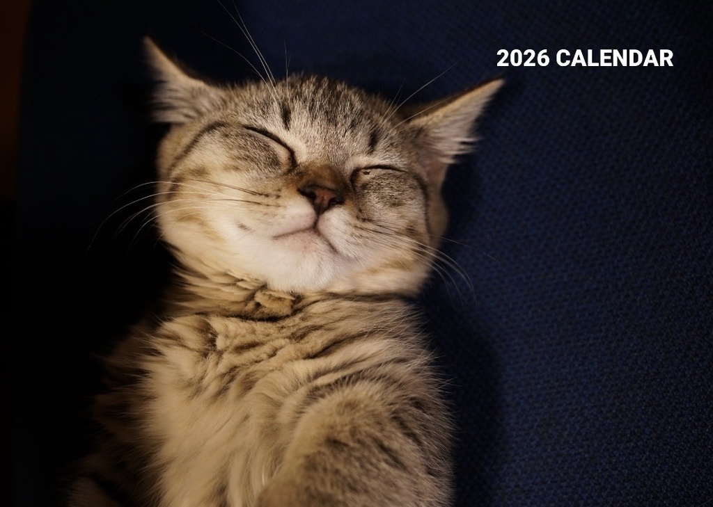 短足むぎっぴカレンダー 2026