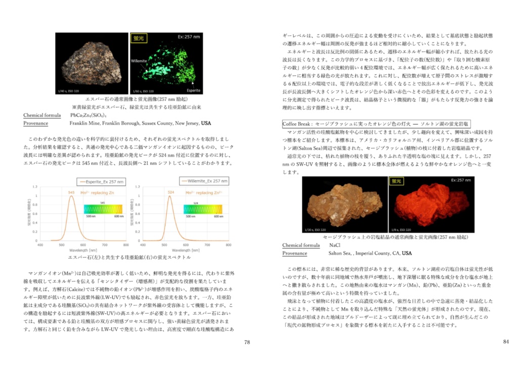 鉱物の隠された光II 燐光・寿命解析が解き明かす発光のダイナミクス