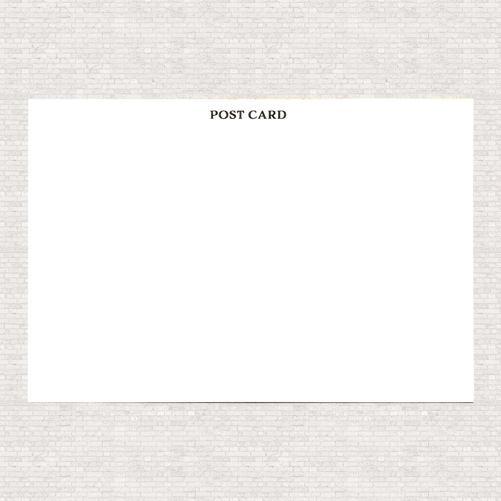 ポストカード 猫 アメリカンショートヘア