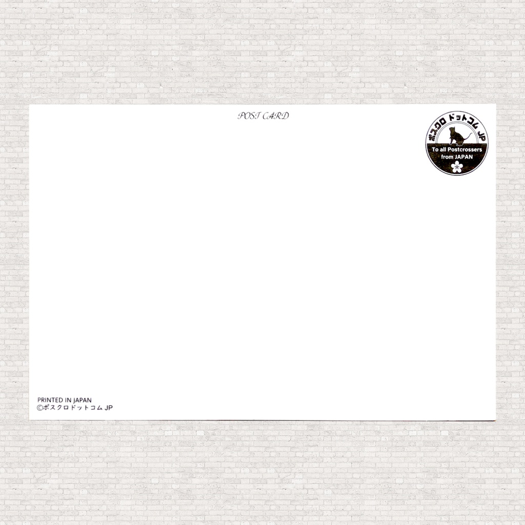 ポストカード 猫のイラスト