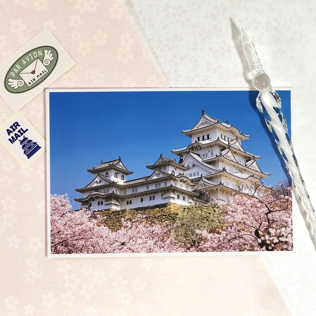 ポストカード 姫路城と桜