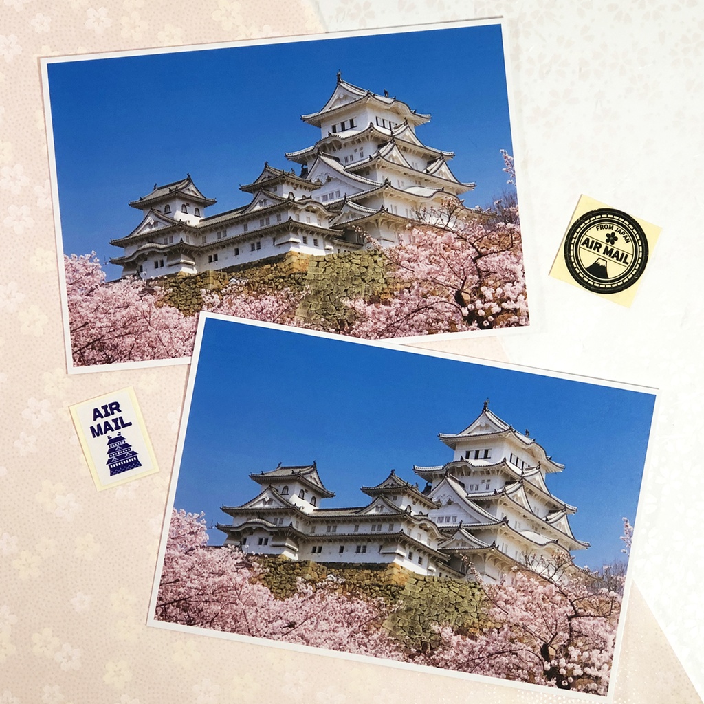 ポストカード　姫路城と桜