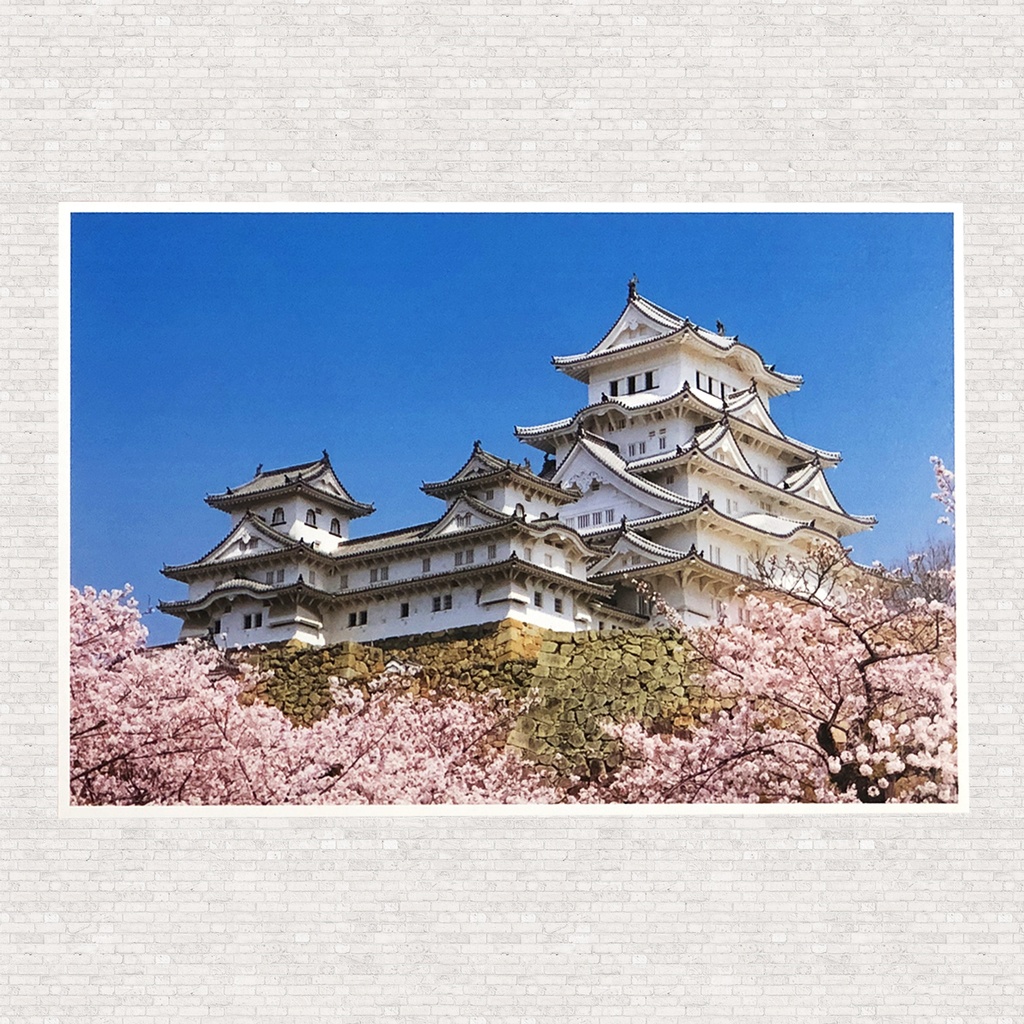 ポストカード　姫路城と桜