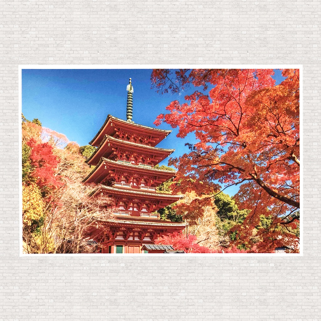 ポストカード　長谷寺