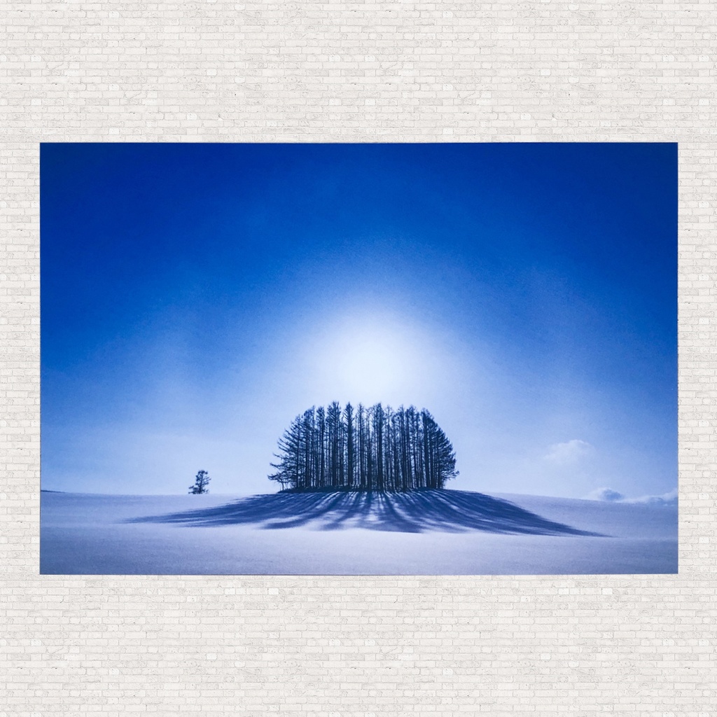 ポストカード　マイルドセブンの丘