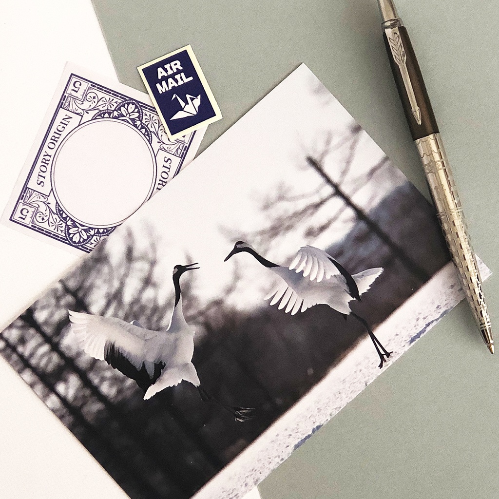 ポストカード タンチョウ