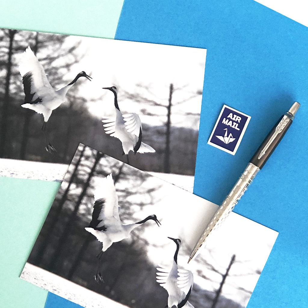 ポストカード タンチョウ