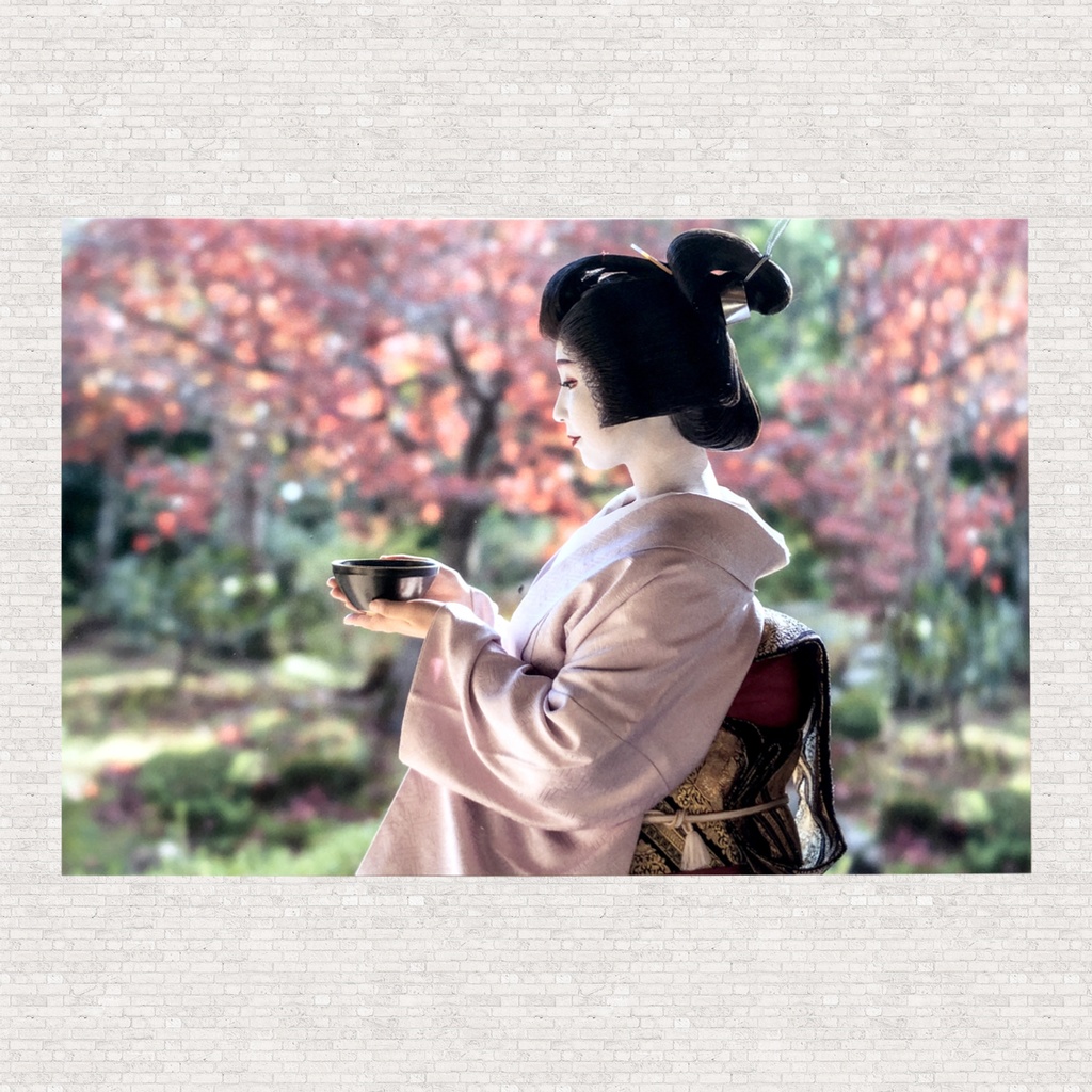 ポストカード 芸妓:紗矢佳さん