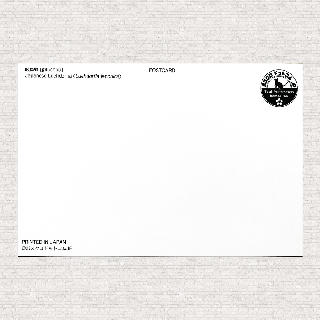 ポストカード ギフチョウ