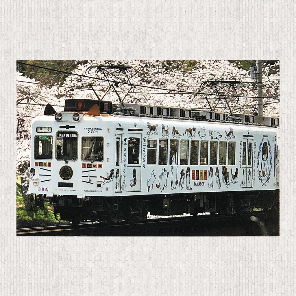 ポストカード たま電車