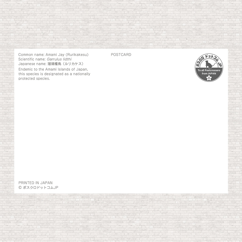 ポストカード ルリカケス