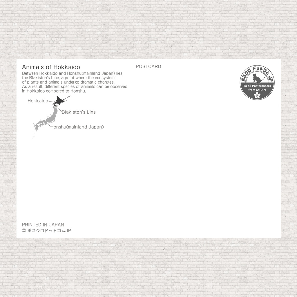 ポストカード 北海道の動物たち