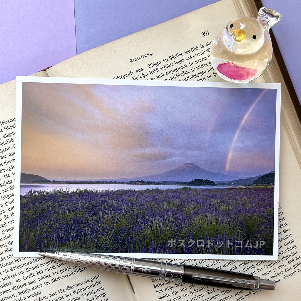 ポストカード 朝焼けの富士山にかかる虹とラベンダー畑