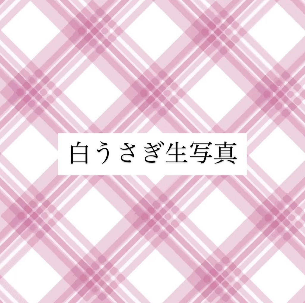 白うさぎブロマイド