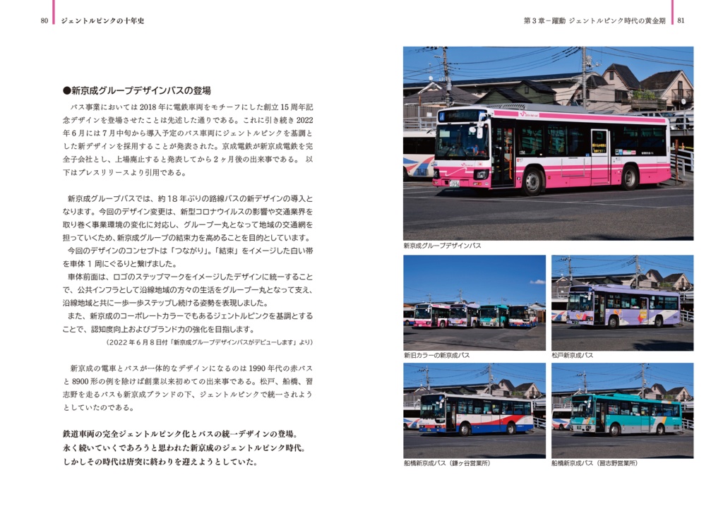 【C105 既刊】 ジェントルピンクの十年史