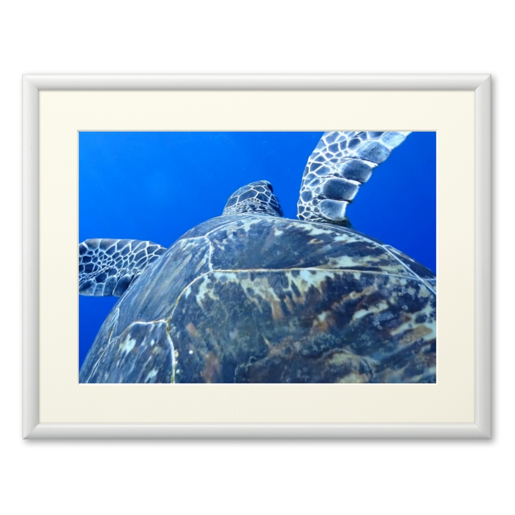 青の世界 - プリモアート