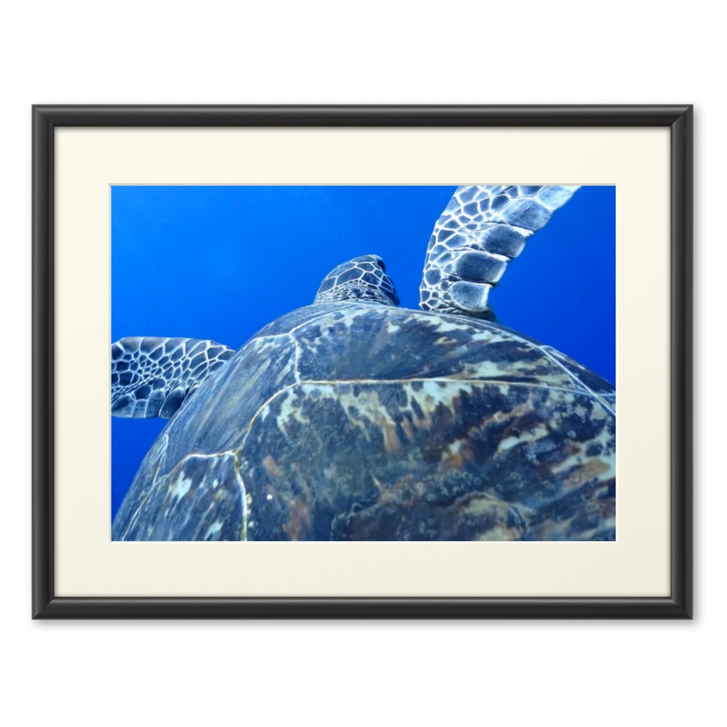 青の世界 - プリモアート