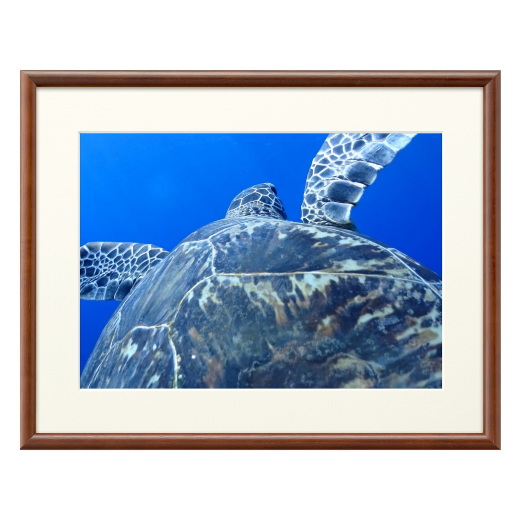 青の世界 - プリモアート